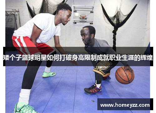 矮个子篮球明星如何打破身高限制成就职业生涯的辉煌 矮个子篮球明星如何打破身高限制成就职业生涯的辉煌
