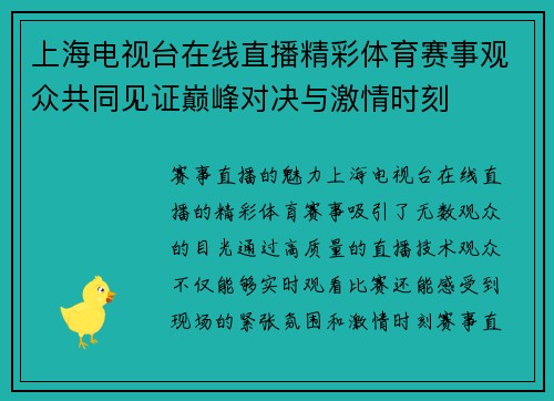 上海电视台在线直播精彩体育赛事观众共同见证巅峰对决与激情时刻
